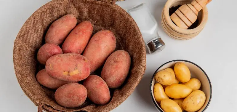 Understanding the Nutritional Value of Sweet Potato