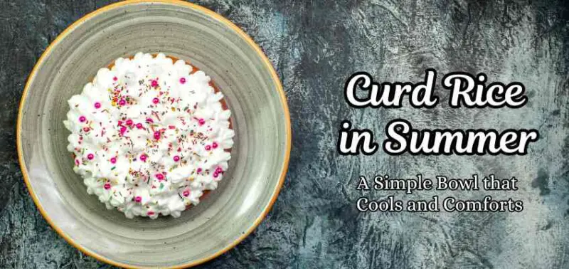 Curd Rice in Summer: A Simple Bowl That Cools and Comforts