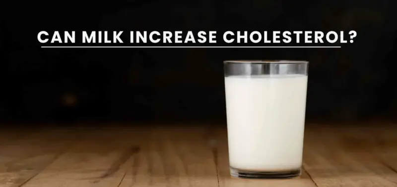 Can Milk Increase Cholesterol Levels? Here's What You Need to Know
