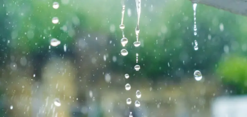 മഴമഴയത്ത് നന നനഞ്ഞത് പത്തനംതിട്ട; സംസ്ഥാനത്ത് ഏറ്റവും കൂടുതല് വേനല് മഴ പെയ്തത് ജില്ലയില്
