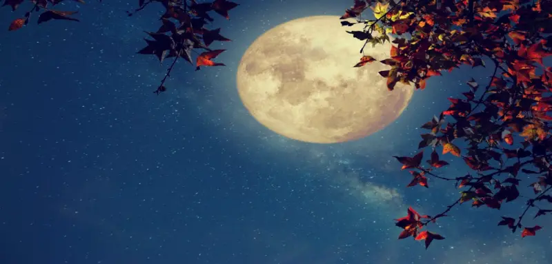 The First Full Moon of 2026: Chaitra Purnima and Hanuman Jayanti Confluence-How to Seek Blessings?