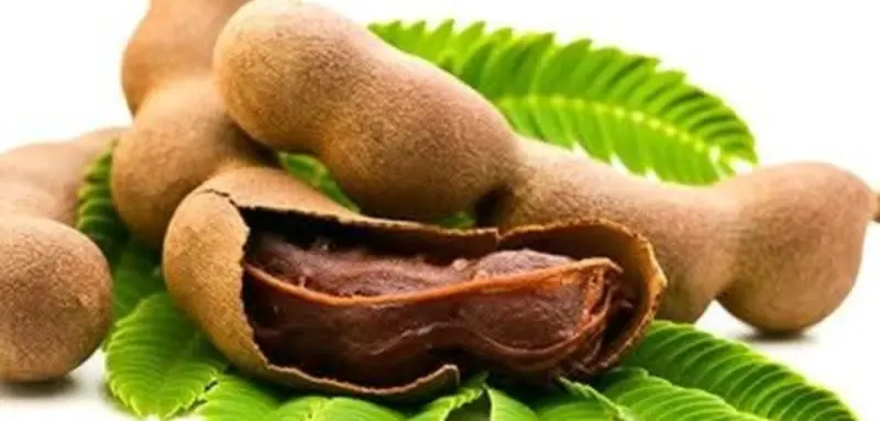 ஆனைப்புளி மரத்தின் நன்மைகள்..!!