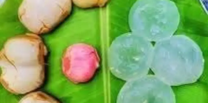 வெயில் கால சூட்டில் இருந்து நம்மை பாதுகாத்துக்கொள்ள நமக்கு இயற்கை தந்த வரம்..!!