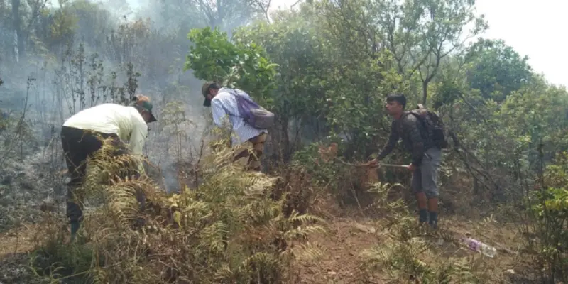 ಇತ್ತಕಂಡಿ ಅರಣ್ಯಕ್ಕೆ ಬೆಂಕಿ