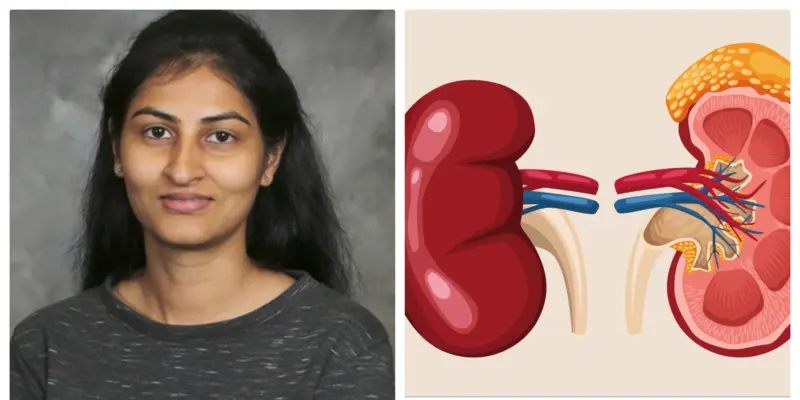 मूत्रपिंड संरक्षणासाठी नवे मार्ग शोधणारे संशोधन : डॉ. कल्याणी कुलकर्णी