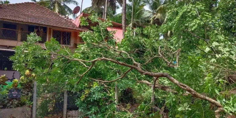 ಮಚ್ಚಟ್ಟು: ಮನೆ ಮೇಲೆ ಮರ ಬಿದ್ದು ಅಪಾರ ಹಾನಿ