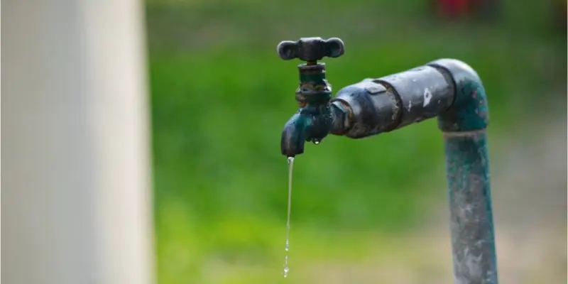 Can drinking water affect Parkinson's risk? It may depend on the source, study finds