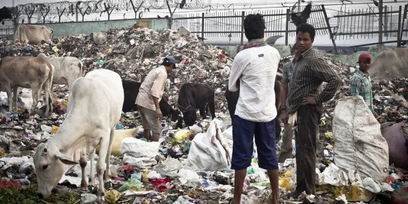 Closing the Loop: Empowering India's informal waste sector through tech and policy