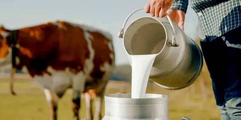 లైసెన్స్ లేకుండా పాల విక్రయాలు చేస్తే రూ.5 లక్షలు జరిమానా