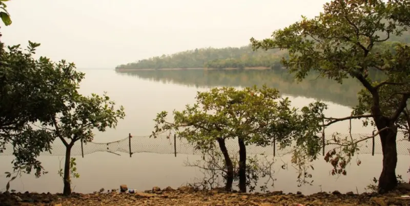 Telangana notifies scientific criteria to identify, protect 'Deemed Forests'