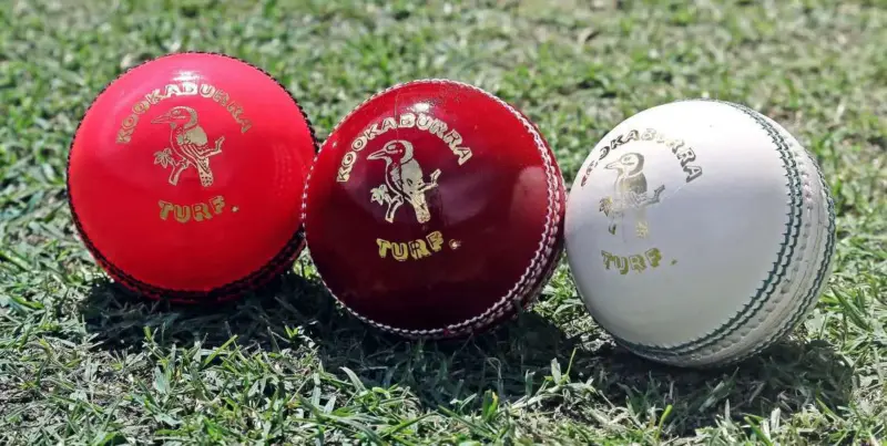 Complete List of Cricket Ball Types Employed in the Sport