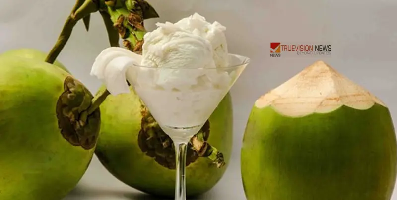 കരിക്ക് ഉണ്ടോ? എങ്കില്‍ വീട്ടിലുണ്ടാക്കാം നാച്ചുറല്‍ ഐസ്ക്രീം; പുറത്തുനിന്ന് ഇനി വാങ്ങേണ്ട!