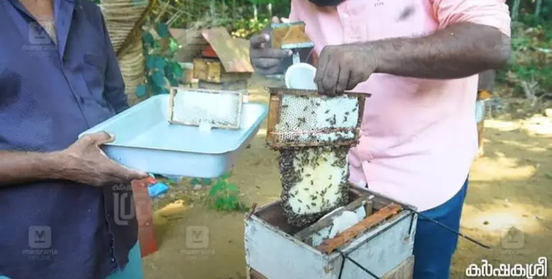 തേനീച്ച വളര്‍ത്തല്‍ പരിശീലന ക്യാംപ്