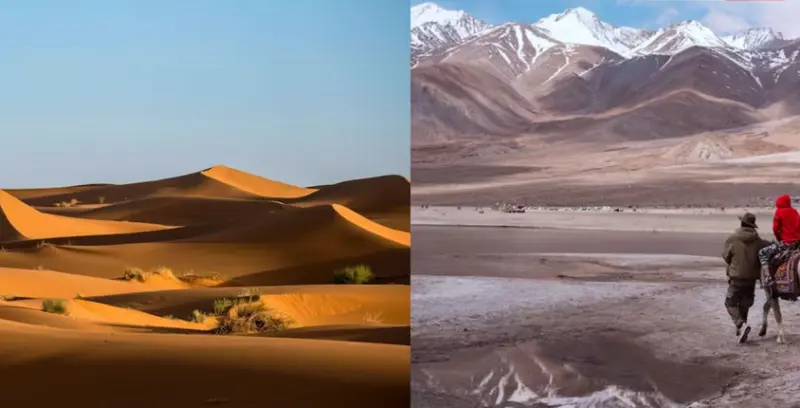 India is home to some of the most spectacular deserts in the world, including the Thar Desert!
