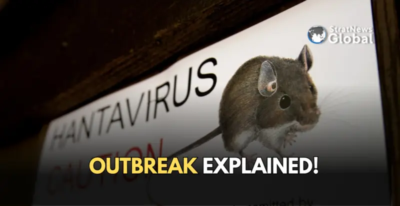Explained: What Is Hantavirus Outbreak That Killed Passengers On A Cruise?