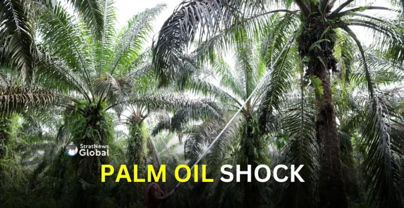 Indonesia's New Export Rules May Disrupt Global Palm Oil Trade