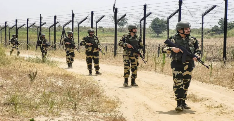 কাঁটাতার নয়, অনুপ্রবেশকারীদের যম হবে বিষধর সাপ ও কুমির! বিএসএফ-এর কাছে গেল বড় প্রস্তাব