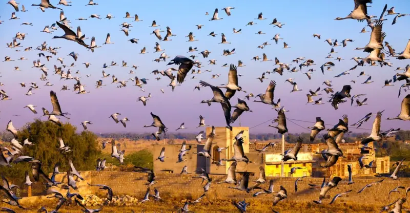 SC judgement on 'orans' a step forward, with some risks