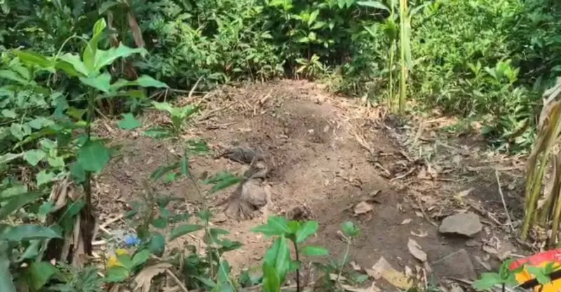 Mother, son found buried in Idukki; hunt on for absconding son