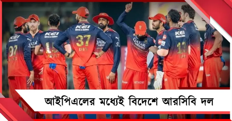 IPL: গুরুত্বপূর্ণ সময়ে ছুটি কাটাতে বিদেশে! বিতর্কে আরসিবি দল