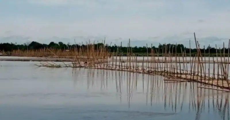 Bamboo bridge collapse over Torsa disrupts life in Cooch Behar