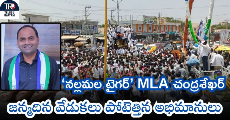 పండుగలా 'నల్లమల టైగర్' MLA చంద్రశేఖర్ జన్మదిన వేడుకలు: పోటెత్తిన అభిమానులు