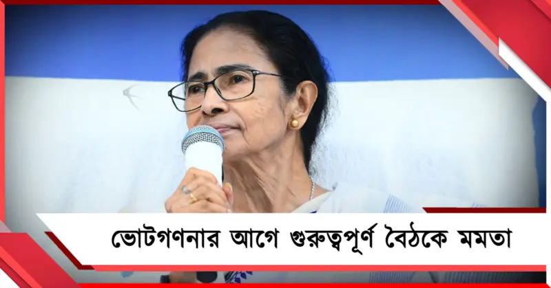 নজরে ভবানীপুর! রবি-সন্ধ্যায় কালীঘাটে গুরুত্বপূর্ণ বৈঠক তৃণমূল সুপ্রিমোর