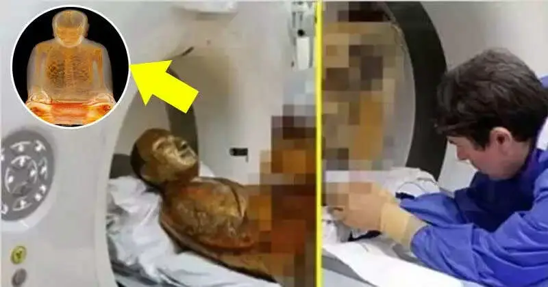 Ancient Buddhist Statue Reveals Shocking Secrets Through CT Scan