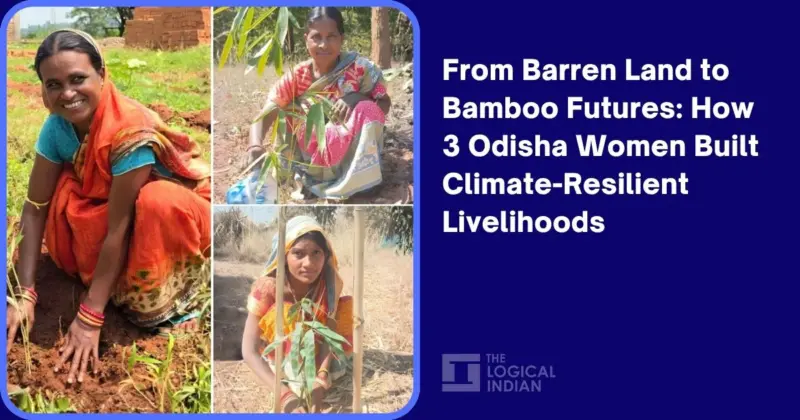 From Barren Land to Bamboo Futures: How 3 Odisha Women Built Climate-Resilient Livelihoods - The Logical Indian