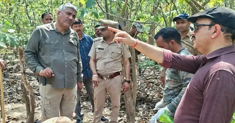 Haridwar Forest Officials Probe Poisoning And Mutilation Of Two Tiger ...