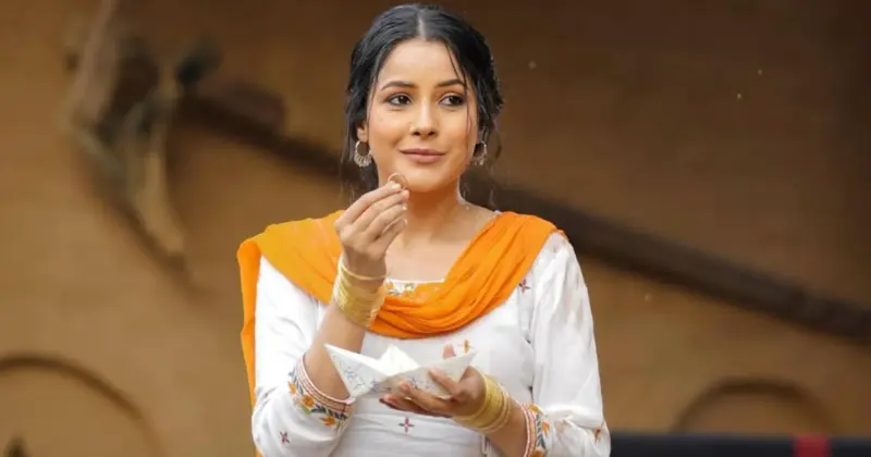 Ikk Kudi Box Office (Closing Collection): Shehnaaz Gill Wraps Up As #6 Punjabi Grosser Of 2025 - Budget, Profits & More!