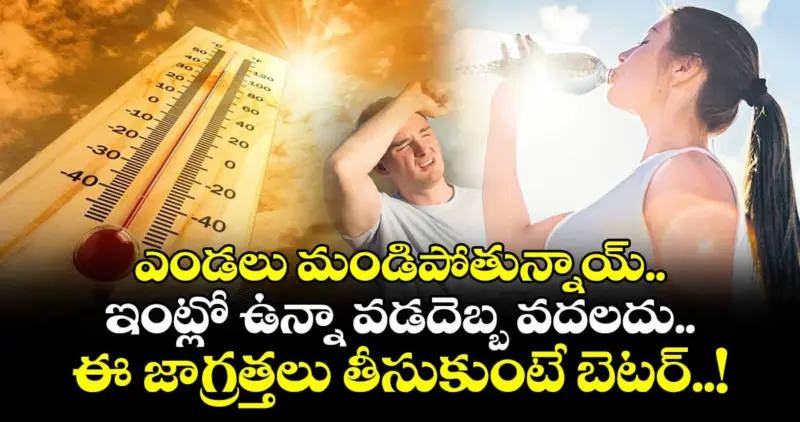 ఎండలు మండిపోతున్నాయ్.. ఇంట్లో ఉన్నా వడదెబ్బ వదలదు.. ఈ జాగ్రత్తలు తీసుకుంటే బెటర్..!
