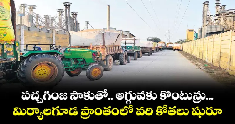 పచ్చగింజ సాకుతో.. అగ్గువకు కొంటున్రు...మిర్యాల గూడ ప్రాంతంలో వరి కోతలు షురూ