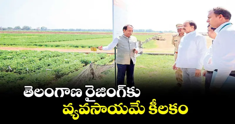 తెలంగాణ రైజింగ్‌కు వ్యవసాయమే కీలకం : మంత్రి తుమ్మల నాగేశ్వర్ రావు