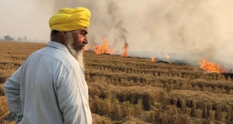 Farmers intensify protests against crackdown on stubble burning