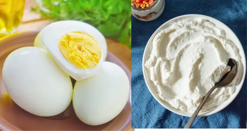 முட்டை முதல் தயிர் வரை.. காலை உணவில் அவசியம் இருக்க வேண்டியவை லிஸ்ட்..