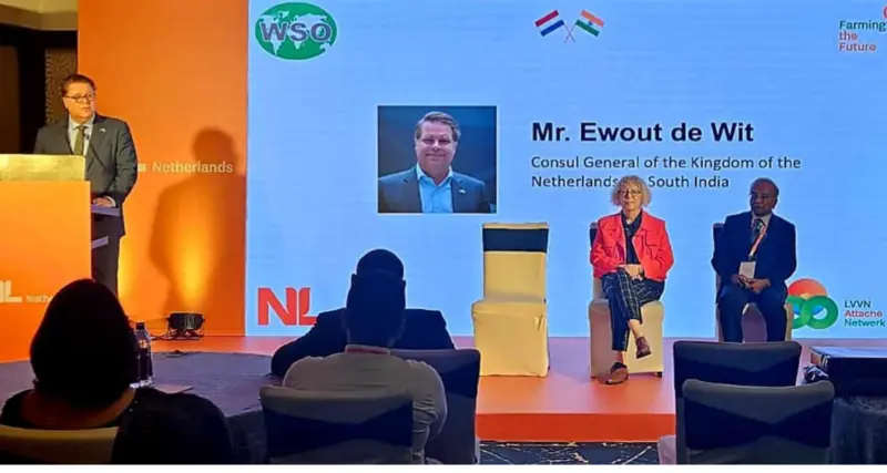 Experts call for stricter safety standards in global spice trade