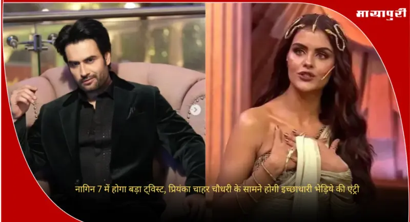 Naagin 7: नागिन 7 में होगा बड़ा ट्विस्ट, प्रियंका चाहर चौधरी के सामने होगी इच्छाधारी भेड़िये की एंट्री