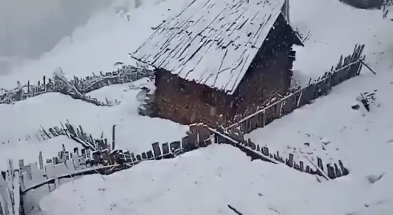 Fresh Spell Of Snow In Higher Reaches Of Kashmir, Plains Receive Showers
