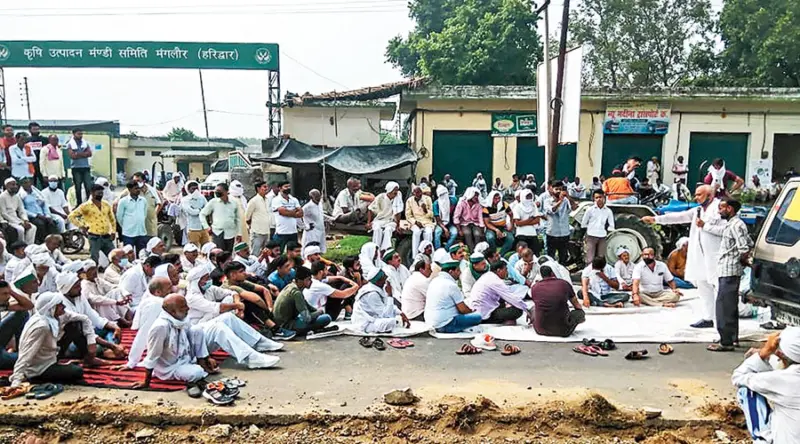 New Laws Won't Protect Farmers, Consumers