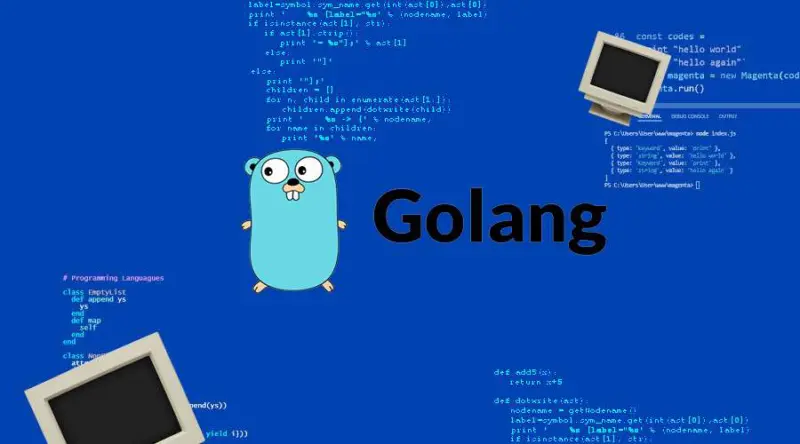 Top 5 Golang Project Ideas for Beginners