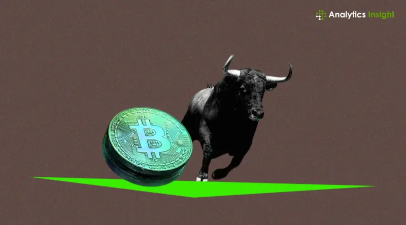 Bitcoin Exposure: MicroStrategy Eyes S&P 500 Listing