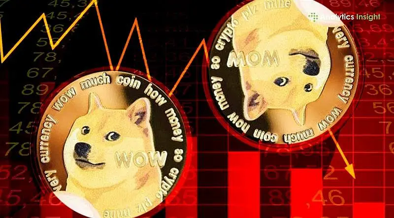 Why Dogecoin (DOGE) Dropped Almost 50% in 6 Months: Key Reasons