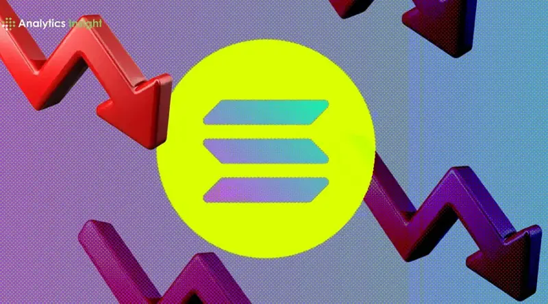 SOL Price Update: Solana May Fall to $50 Before a Major Rally Begins