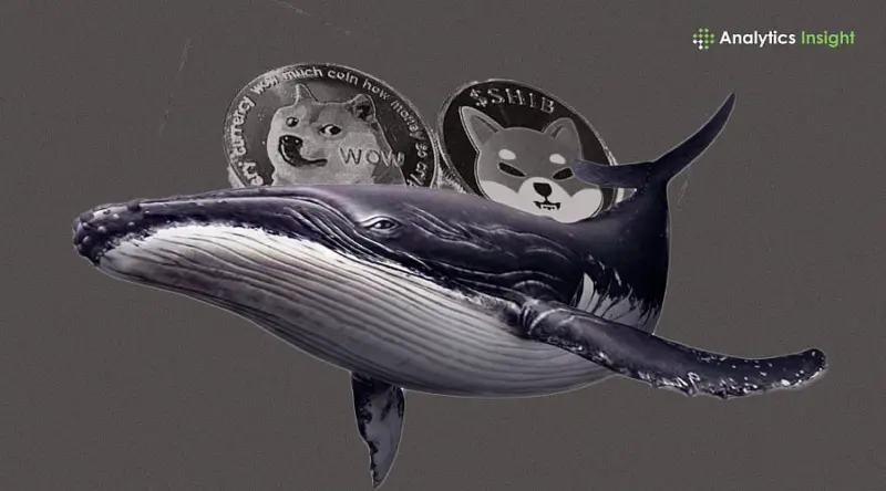 Why Whales Keep Trusting Meme Coins in 2025
