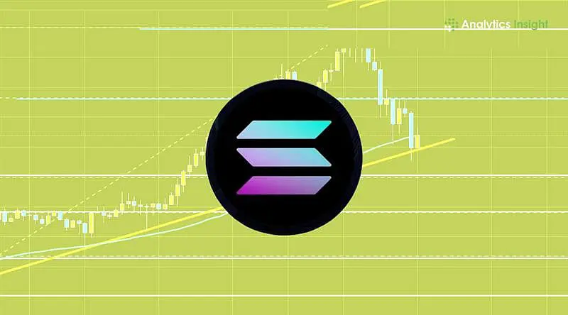 Solana Founder's GitHub Upload Sparks Perp DEX Speculation