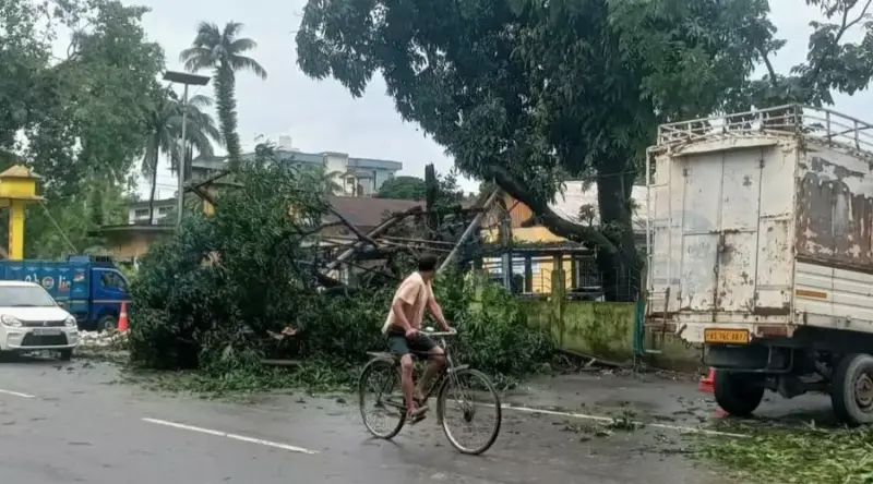Powerful storm batters Kokrajhar, uproots trees, disrupts power supply