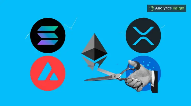 Watch These DeFi Altcoins After the Fed Rate Cuts