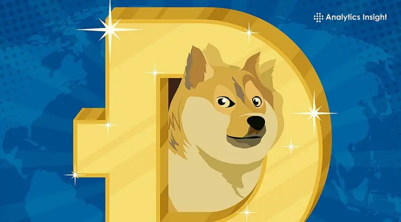 What You Should Know Before Investing in Dogecoin?