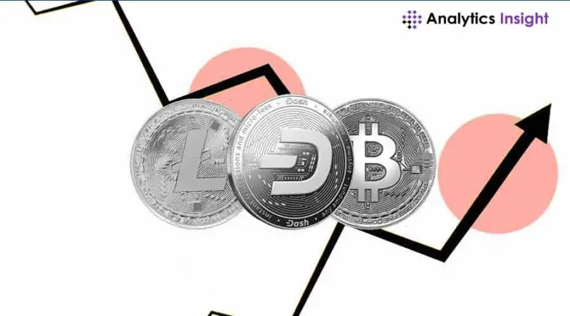 Cryptocurrencies hit by the biggest selloff: A Brief Analysis